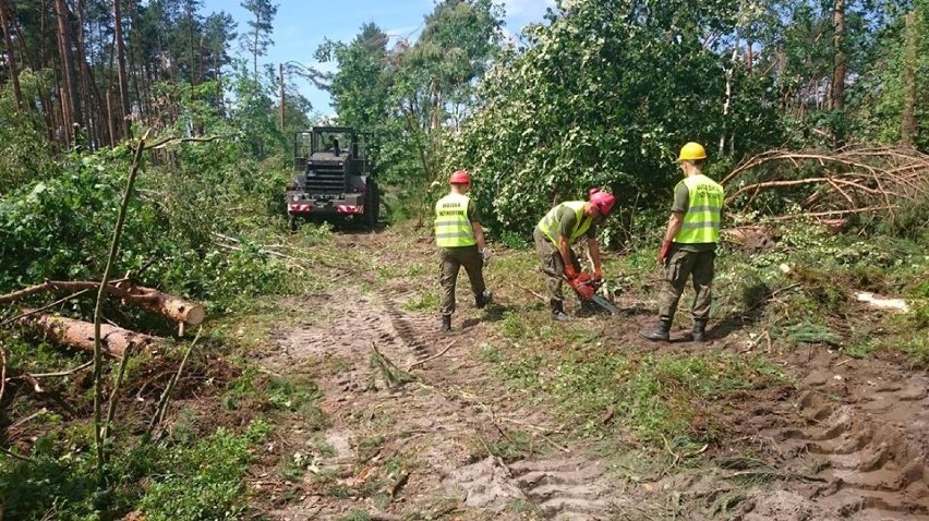 Nawałnice w gminie Paradyż: Na pomoc w usuwaniu połamanych drzew ruszyło wojsko [ZDJĘCIA]