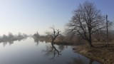 Prosna i nad Prosną. Nie można spacerować, ale można obejrzeć.  ZDJĘCIA