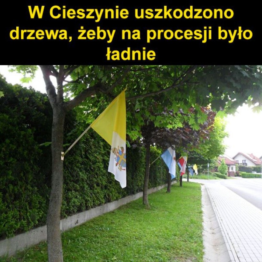 Jajcarze śmieją się z miast w woj. śląskim! Zobacz te MEMY - zabawne? Na liście Bytom, Gliwice, Sosnowiec, Katowice, Rybnik...  