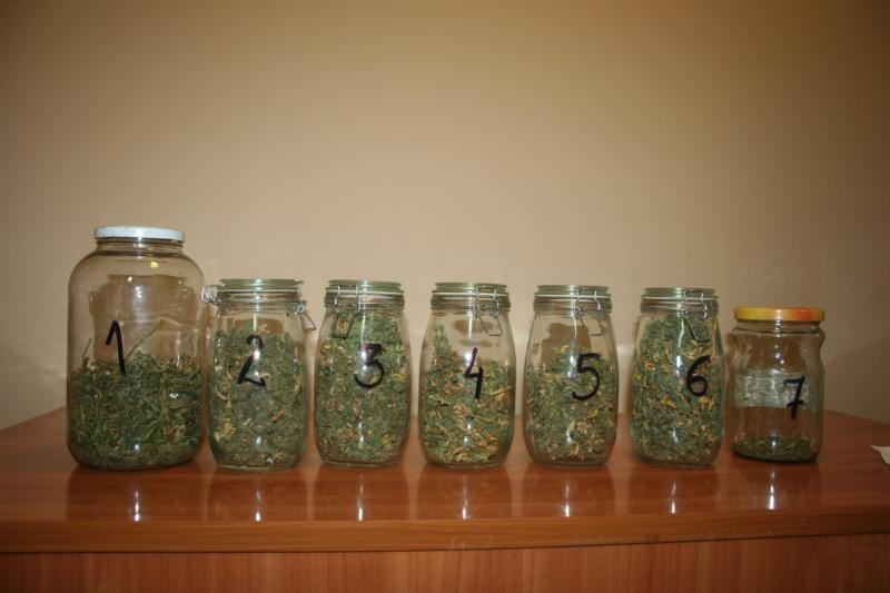 5 kilogramów marihuany w Zbąszyniu