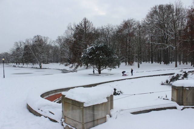 Park w Świerklańcu zimową porą. To idealne miejsce na długi spacer. Zobacz kolejne zdjęcia >>>