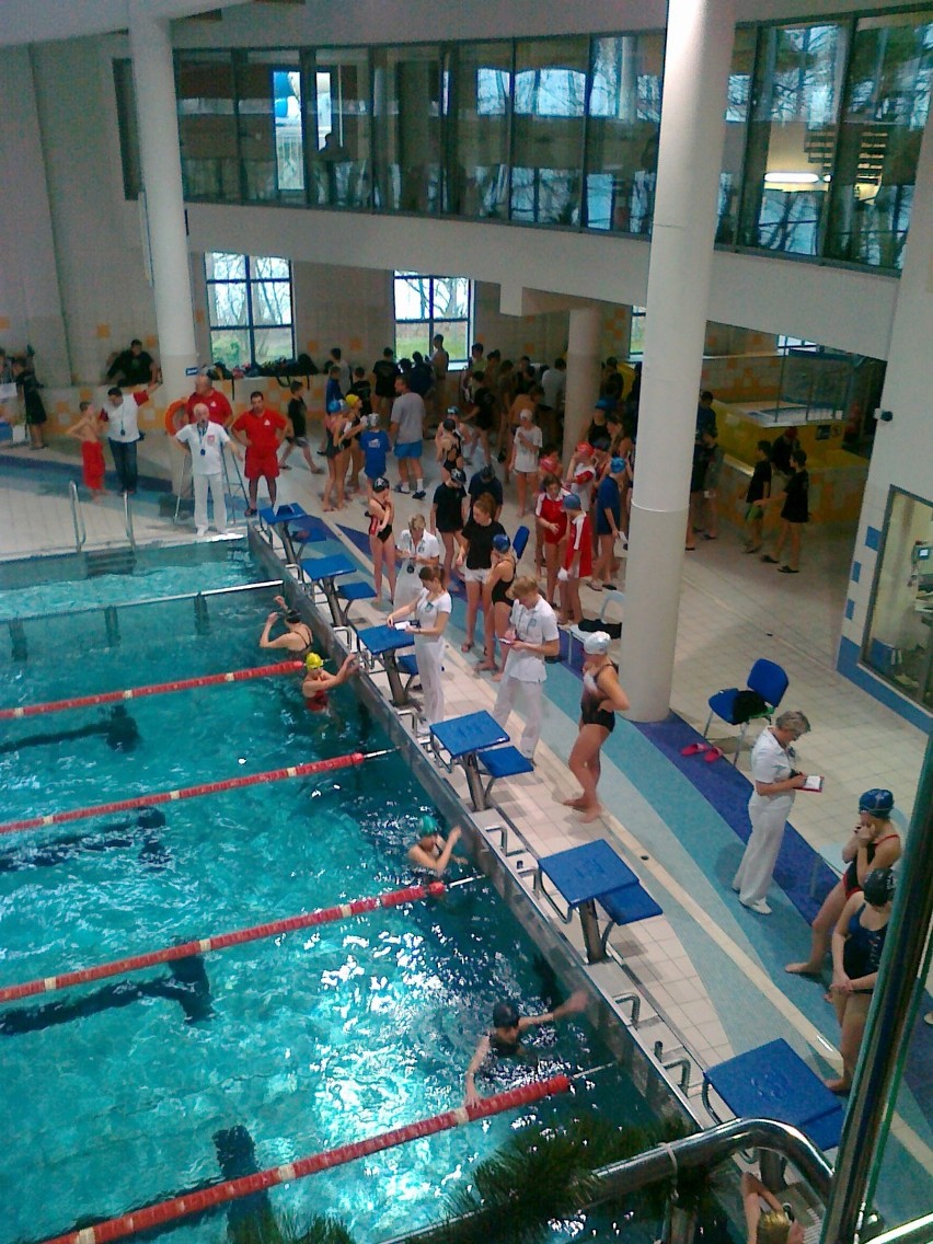 Pływacy z Wolsztyna, podczas Grand Prix Śremu