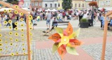 Imprezy w Krośnie i okolicy. Co robić w weekend 19-21 sierpnia? Na co warto się wybrać, gdzie się bawić? [PRZEGLĄD]
