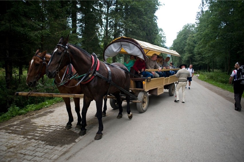 Zakopane. Droga do Morskiego Oka zamknięta przez tłumy [ZDJĘCIA]