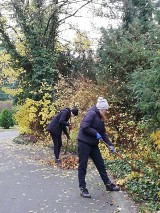 Wolsztyn: wolontariusze z liceum porządkowali park wokół Domu Pomocy Społecznej w Wielkiej Wsi