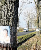 Plakaty kandydatów oblepiły drzewa