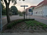W Kołobrzegu chcą odebrać ulicę św. Janowi Pawłowi II, przywracając poprzednią nazwę: Walki Młodych