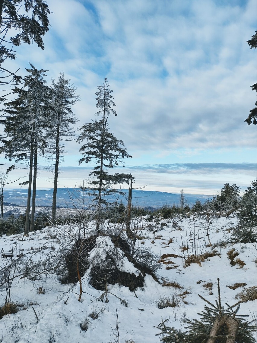 Zimowe wędrówki po górach Grzegorza Skowronka ze Zduńskiej Woli ZDJĘCIA