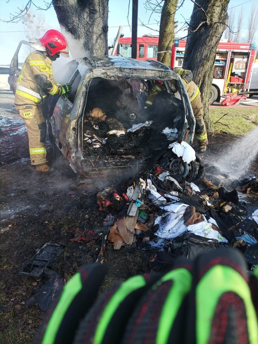 Kierowca uderzył w drzewo i spłonął w aucie ZDJĘCIA! Śmiertelny wypadek w Dąbrówce Wielkiej. ZDJĘCIA