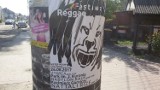 Festiwal Reggae w Kazimierzu Górniczym. Kto wystąpi?