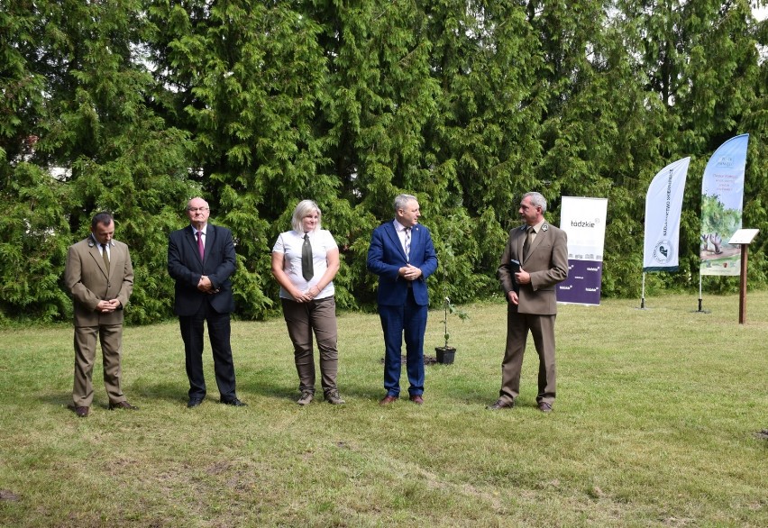 W siedzibie Nadleśnictwa Skierniewice stworzono sad starych odmian drzew [ZDJĘCIA]