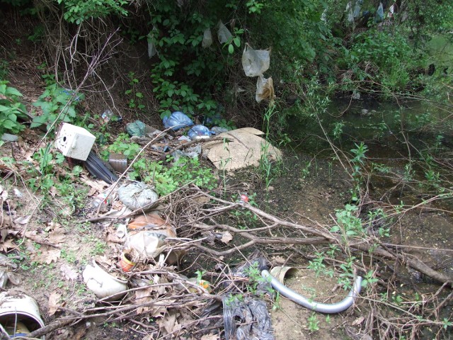 Nad rzekę trafiają śmieci wszelkiego rodzaju