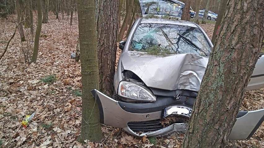 Wypadek pod Goleniowem. Opel uderzył w drzewo