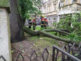 Ulewa w Lublinie. Lubelscy strażacy podsumowali interwencje po burzy z gradem