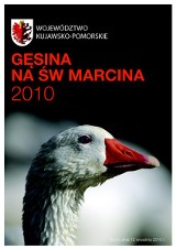 Festyny i kiermasze pod nazwą &quot;Gęsina na świętego Marcina&quot; 