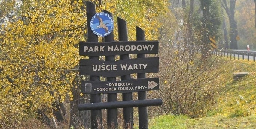 Park Narodowy "Ujście Warty", znajdujący się koło Kostrzyna...