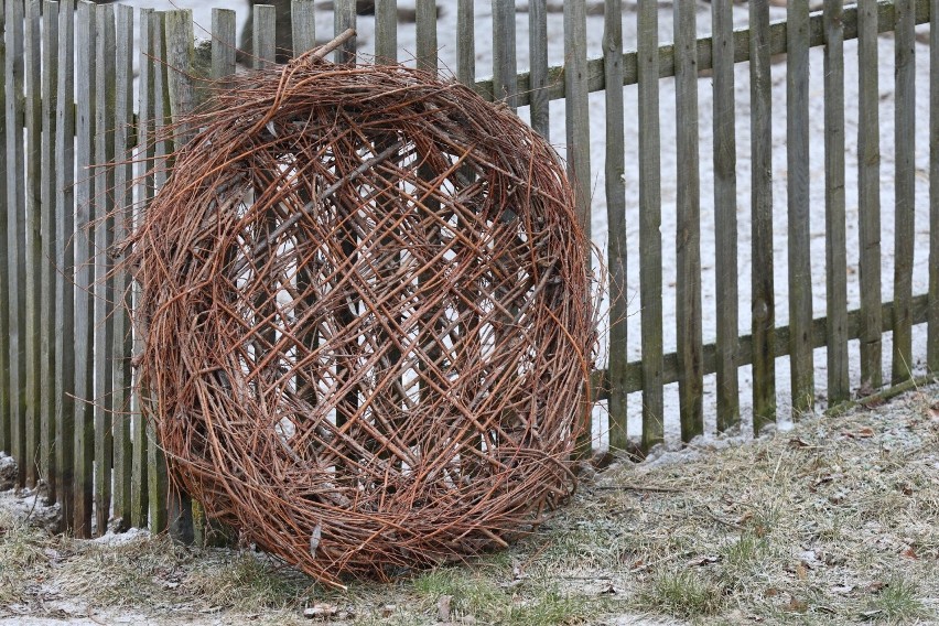 Gniazdo zlokalizowane na słupie w Schodnie w powiecie...