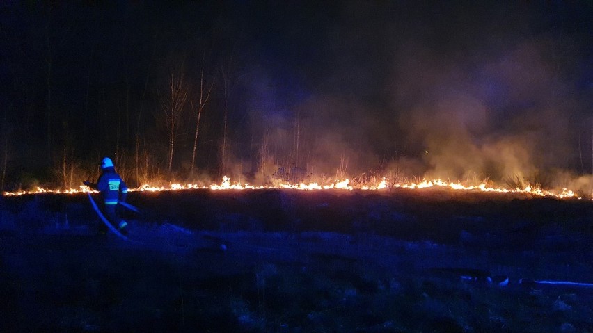 Pożar w Zelowie, ul. Cegielniana, 24.04.2021