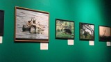 Fotografia dzikiej przyrody w muzeum