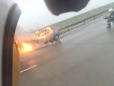 Pożar samochodu osobowego na S8 pod Wolborzem