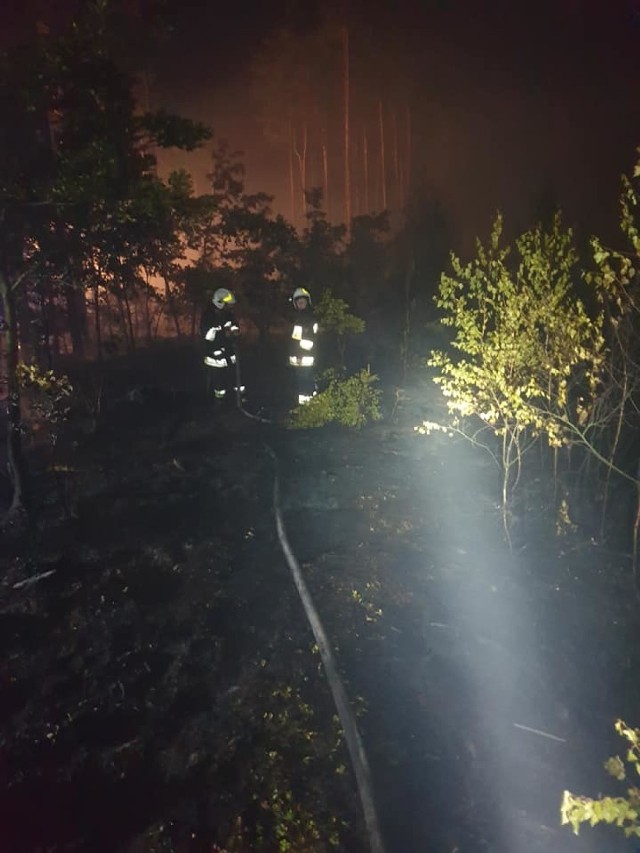 Pożar lasu w Herbach i Kalinie 20 - 21.07.2019.