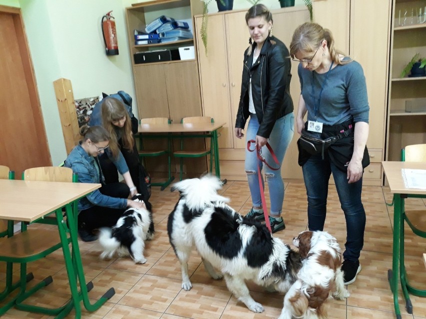 Uczniowie ze szkoły rolniczej w Zduńskiej Dąbrowie podnoszą kwalifikacje zawodowe [ZDJĘCIA]