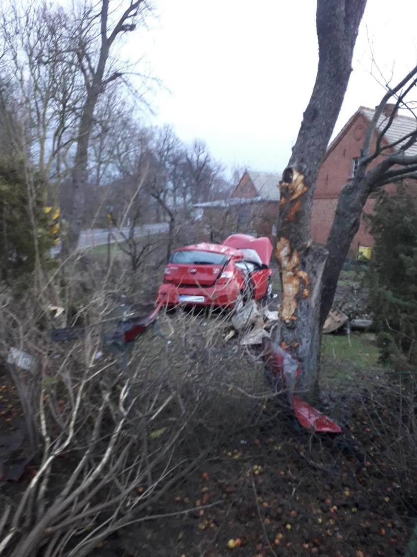 Mechowo. Kierowca szaloną jazdę zakończył w... ogródku 