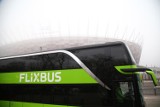 Bilety FlixBus za złotówkę. Dziś rusza wielka promocja - też na połączenia zagraniczne!