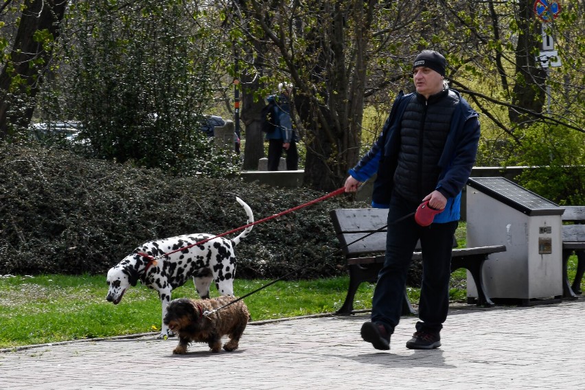 Wiosna zawitała do Opola. Mieszkańcy spędzają czas na świeżym powietrzu i korzystają z pogody [ZDJĘCIA]