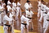 Karate kyokushin: Lublinianie lecą na Mistrzostwa świata w Tokio