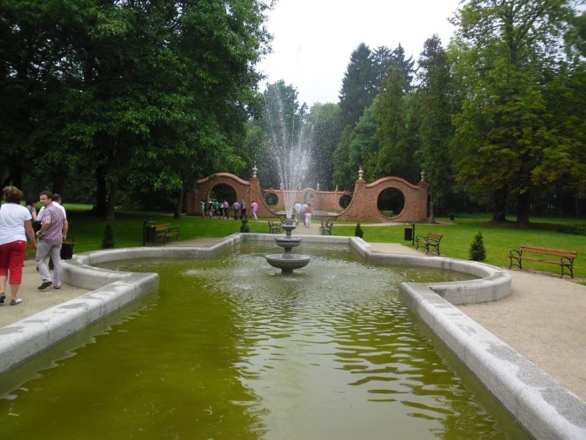 Park Dworski w Iłowej.