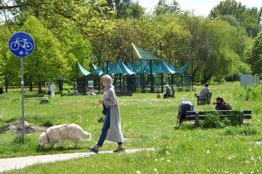 Strefa relaksu w Dolinie Silnicy w Kielcach z nowym dachem. Wielkie plany [ZDJĘCIA]