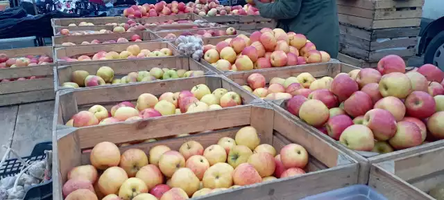 Jabłka nadal królują na targu w Jędrzejowie. Zobacz jakie były ceny innych owoców i warzyw na targowisku jędrzejowskim w czwartek, 14 marca.