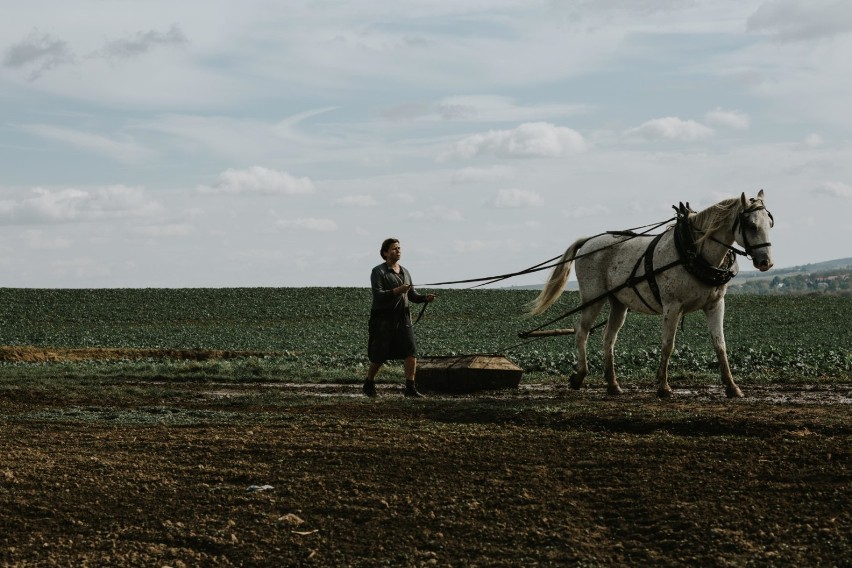 DKF "Powiększenie" zaprasza na "Ułaskawienie", nowy film Jana Jakuba Kolskiego [ZDJĘCIA/ZWIASTUN]