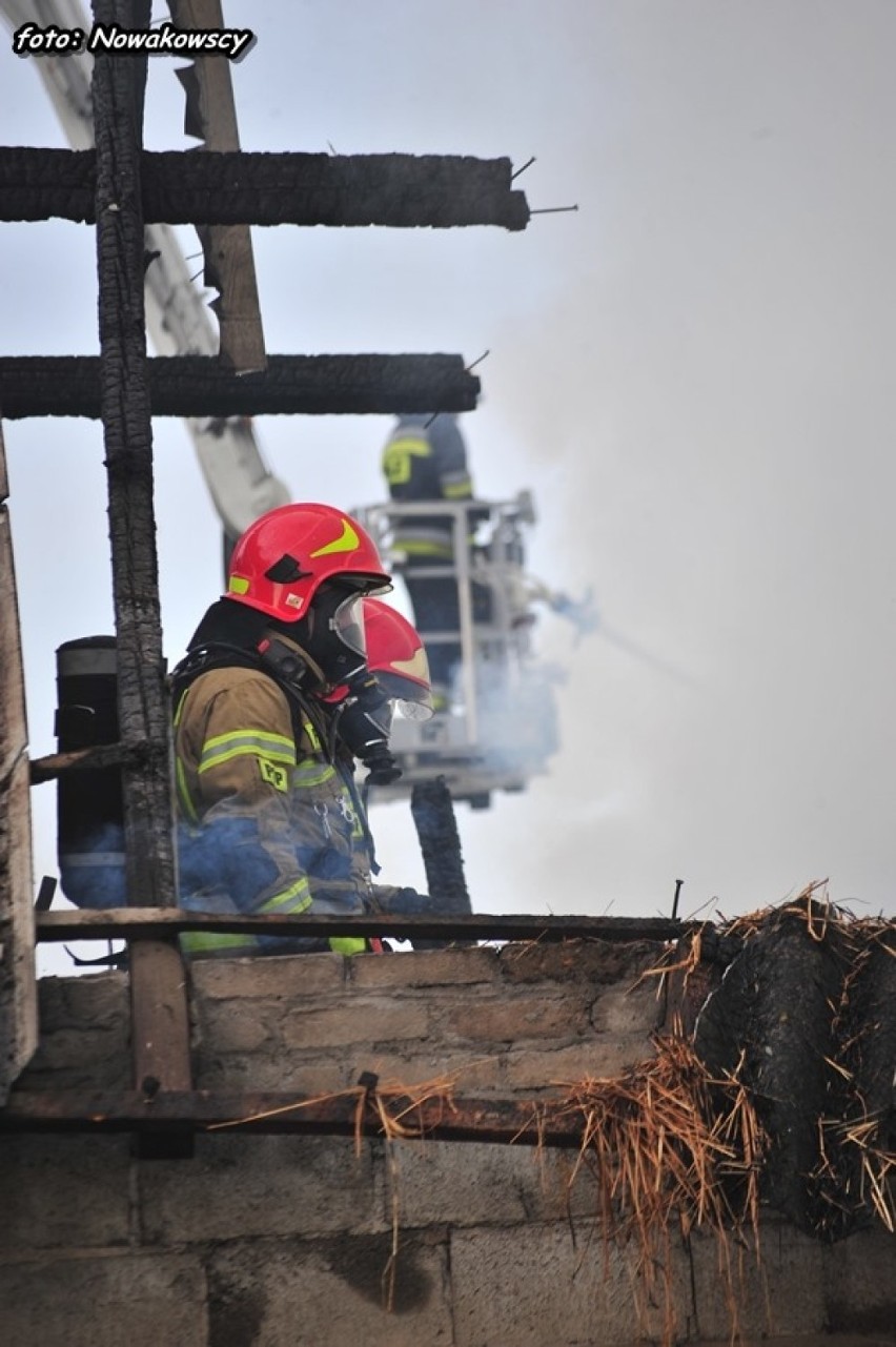 Pożar zabudowań gospodarczych w gminie Przystajń [ZDJĘCIA] Kilkanaście jednostek walczyło z ogniem w miejscowości Galińskie