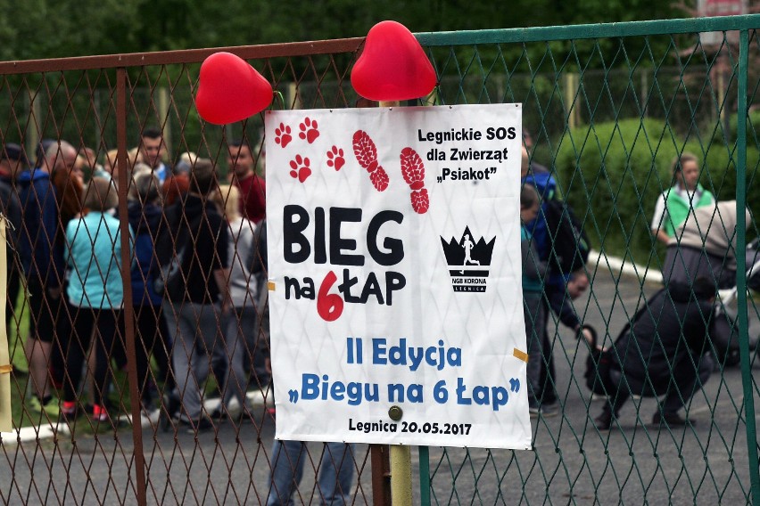 Bieg na 6 łap w Legnicy [ZDJĘCIA]