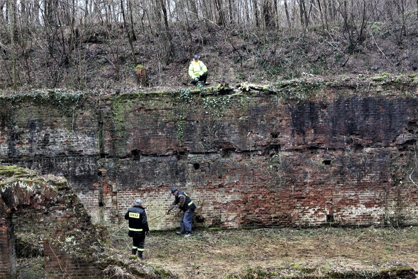 Pikulice. Akcja porządkowania Fortu IV Optyń w Twierdzy Przemyśl [ZDJĘCIA, WIDEO]