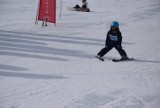 XIX Mistrzostwa Powiatu Kościańskiego w Narciarstwie Zjazdowym i Snowboardzie w Zieleńcu – program