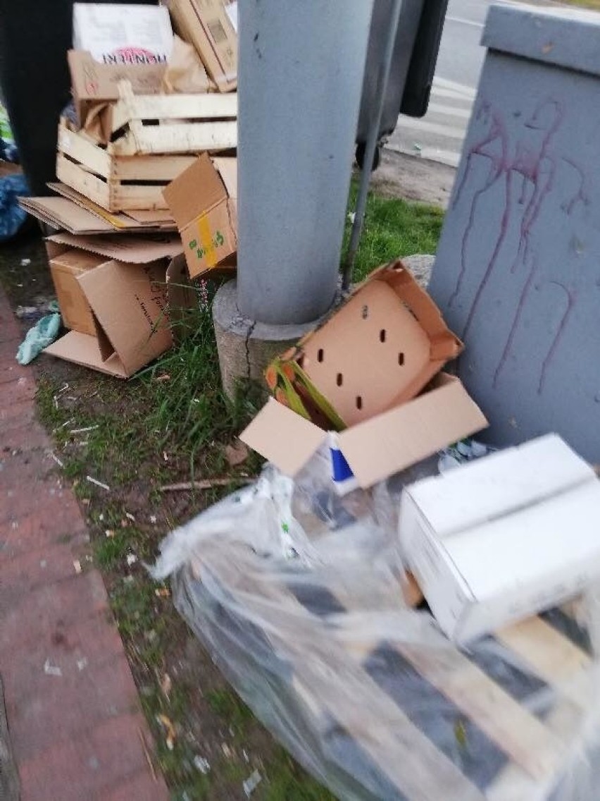 Sterta śmieci na Podzamczu. Winni złapani na gorącym uczynku [ZDJĘCIA]