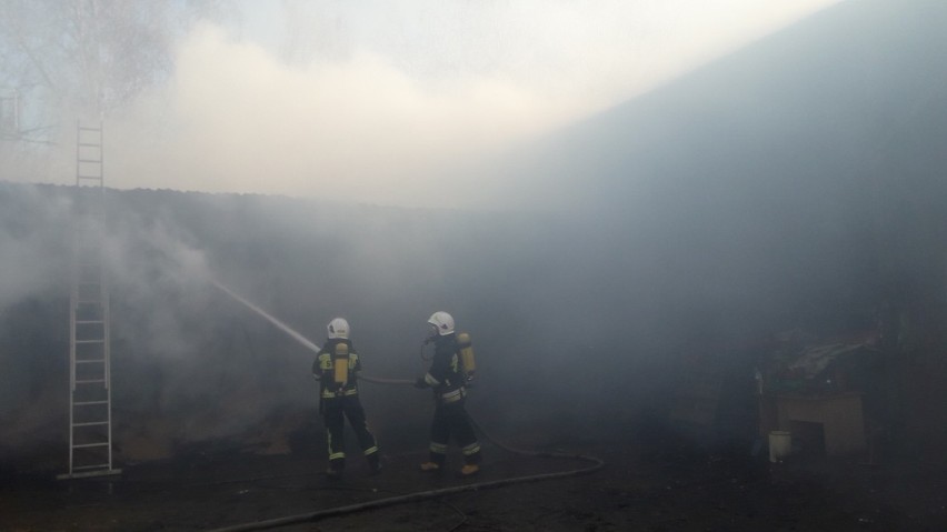 Pożar budynku gospodarczego w Kijowicach. Interweniowało kilka zastępów straży