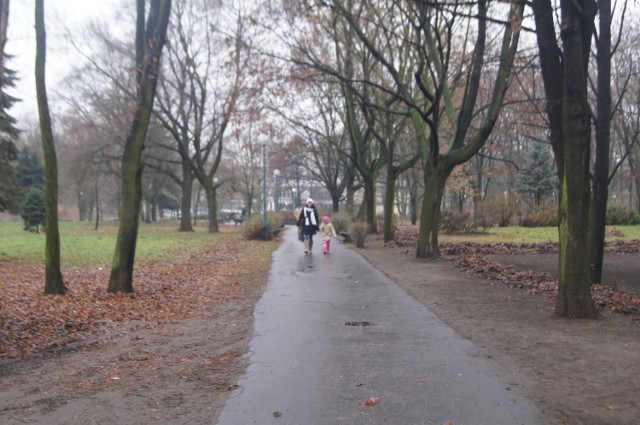 Rosarium powstanie w Parku Traugutta