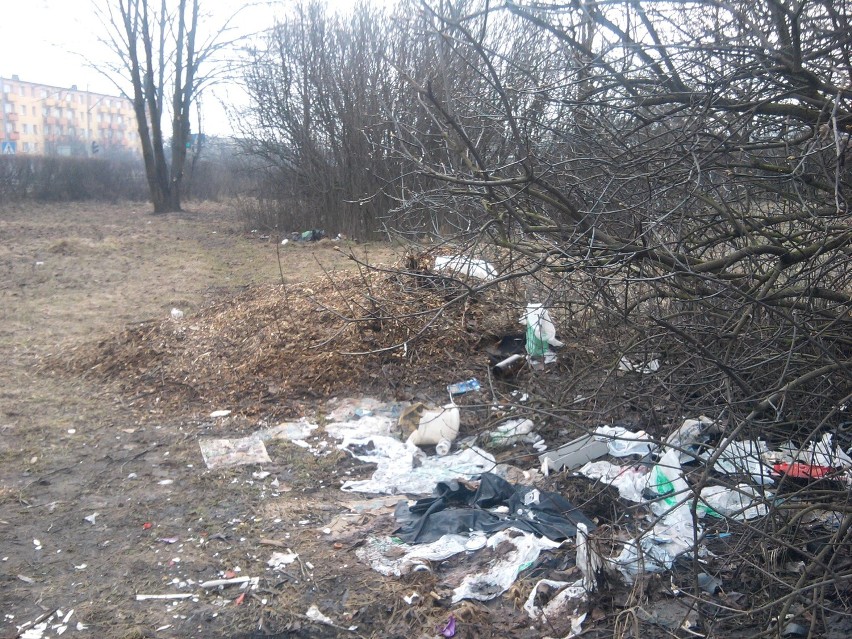 Zaczęli sprzątać teren na os. Kaszubskim w Wejherowie i nie dokończyli FOTO