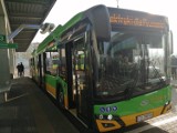 MPK Poznań: Pojawią się kolejne elektryczne autobusy. Ogłoszono przetarg na dostawę 37 nowych pojazdów