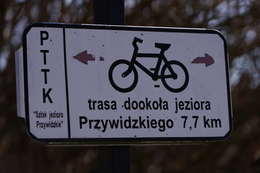 Turystyczna trasa wokół jeziora w Przywidzu.