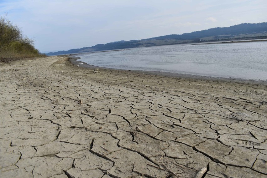 Jezioro Czorsztyńskie: coraz mniej wody, suchy brzeg, spękana ziemia