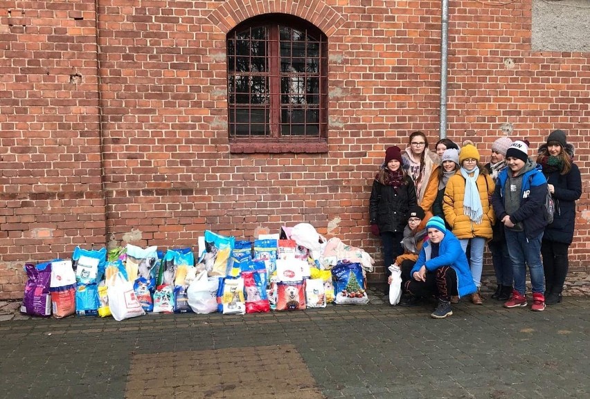 Uczniowie ze szkoły w Gardei zebrali prawie 300 kg karmy i pieniądze dla kwidzyńskich Animalsów 