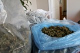 Handlarze marihuaną zatrzymani przez lubelską policję (WIDEO)