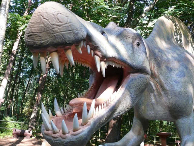 Dino, a dlaczego masz takie duże zęby?