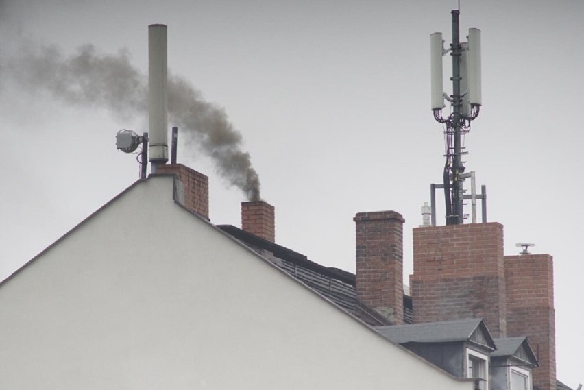 Takim powietrzem oddychasz dziś (15.03.2023) w Rawiczu. Czy jest smog? Sprawdź dane z czujników w centrum miasta - NA ŻYWO!