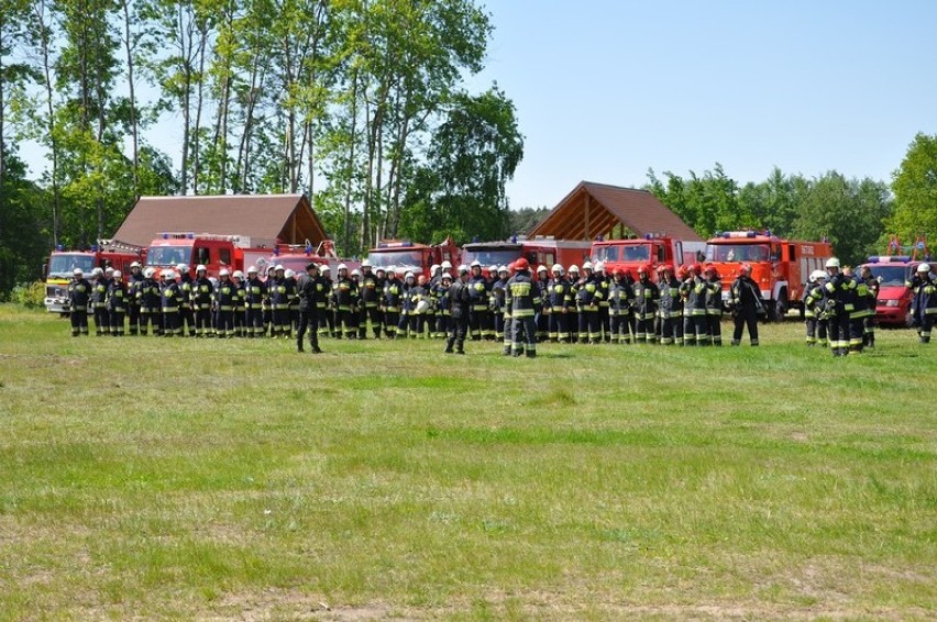 "Lasy 2018". Manewry strażaków w lasach Nadleśnictwa Grodziec